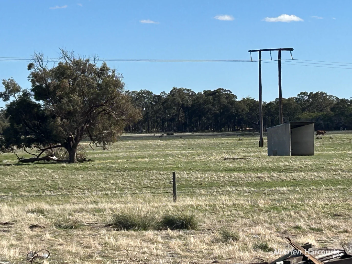 Image 13