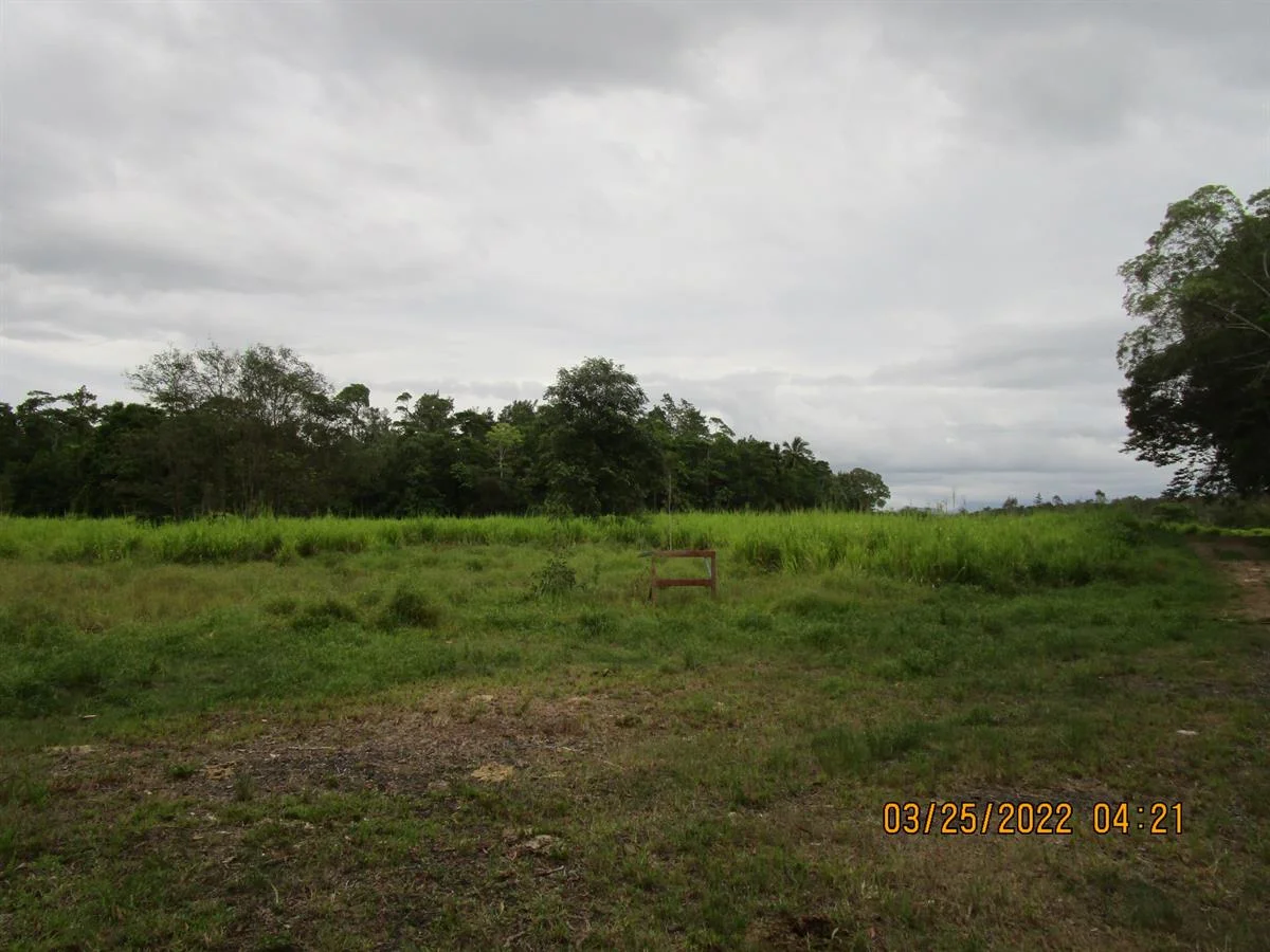 Image 24