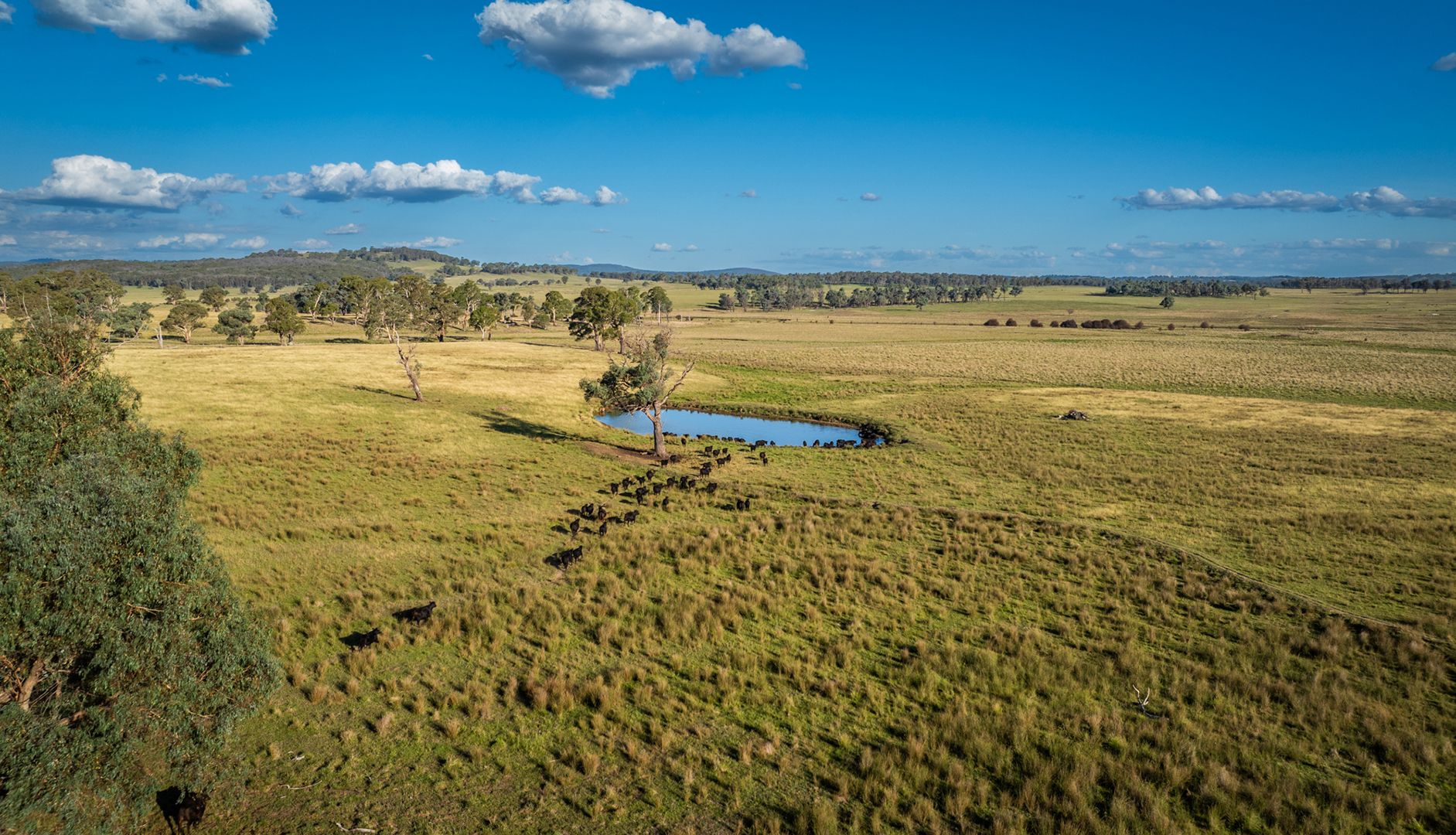 Guyra NSW 2365, Image 0