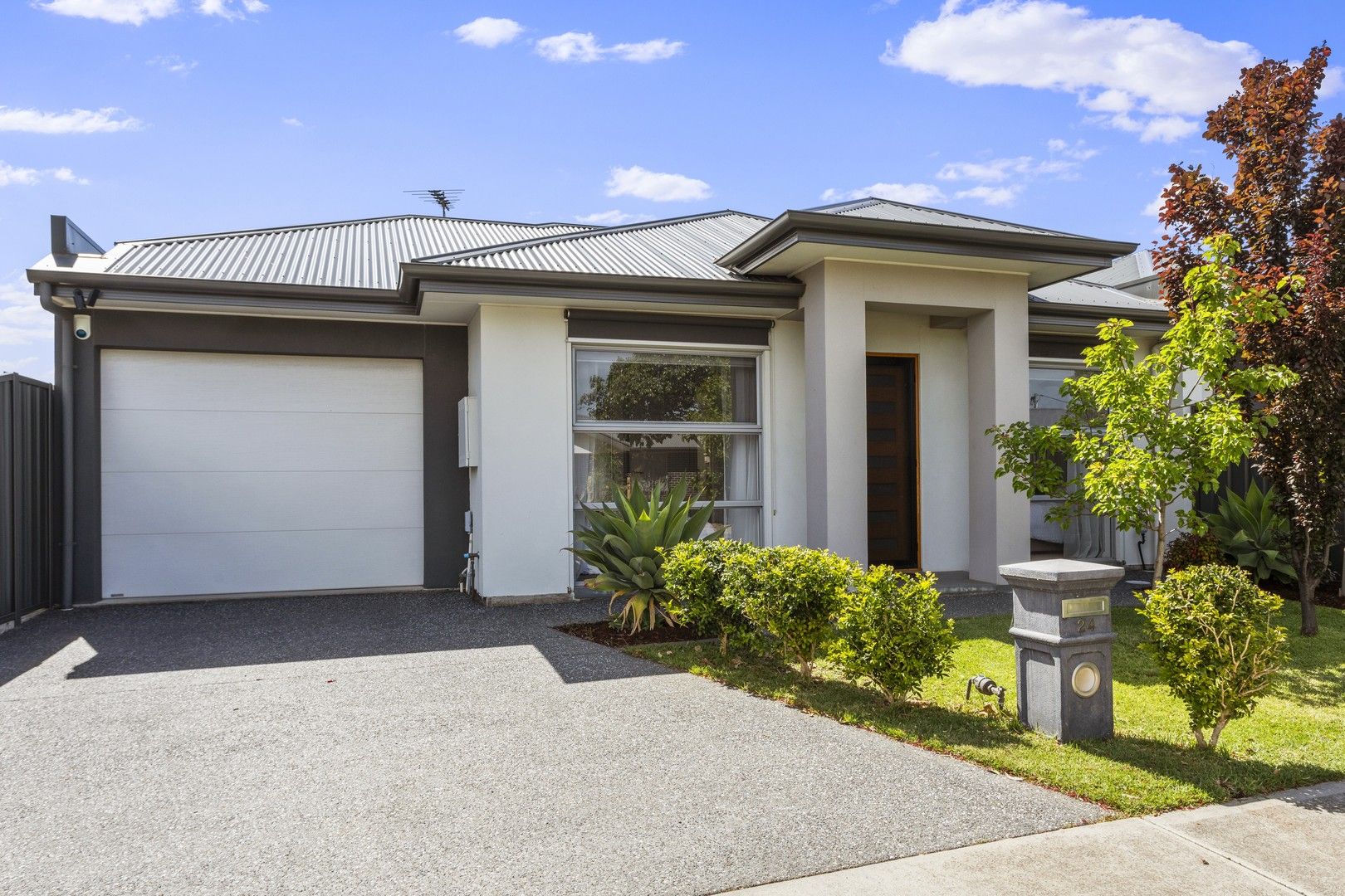 24 Blackler Avenue, Plympton Park SA 5038, Image 0