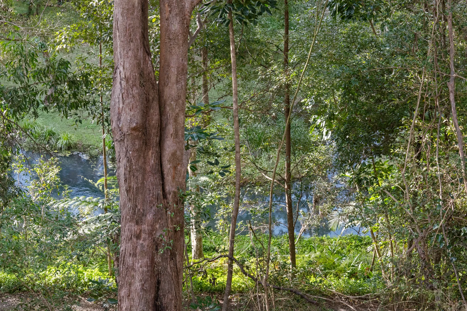 Image 29