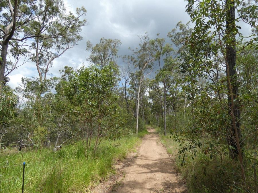 Mineral Road, Rosedale QLD 4674, Image 0