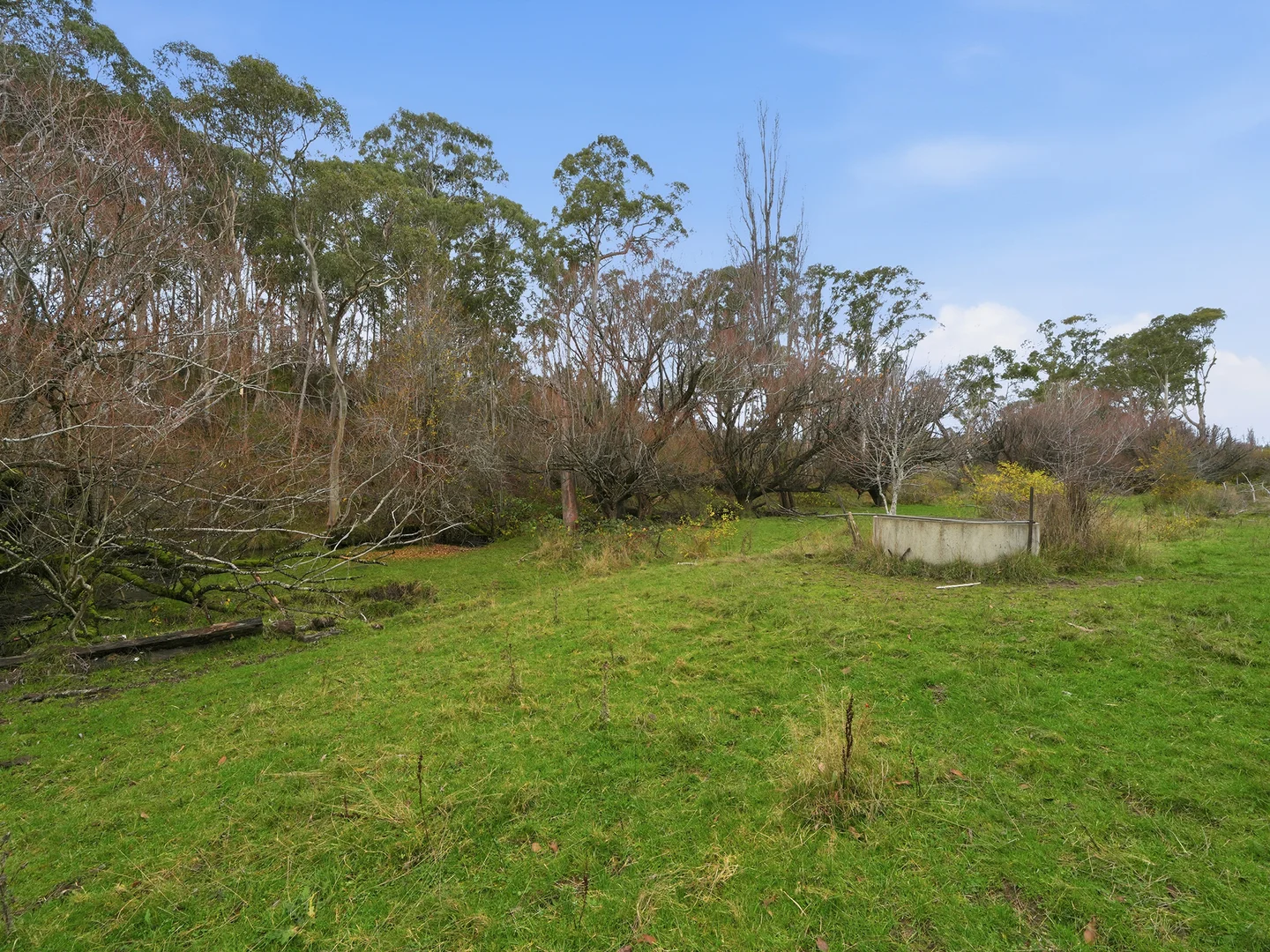 Image 20