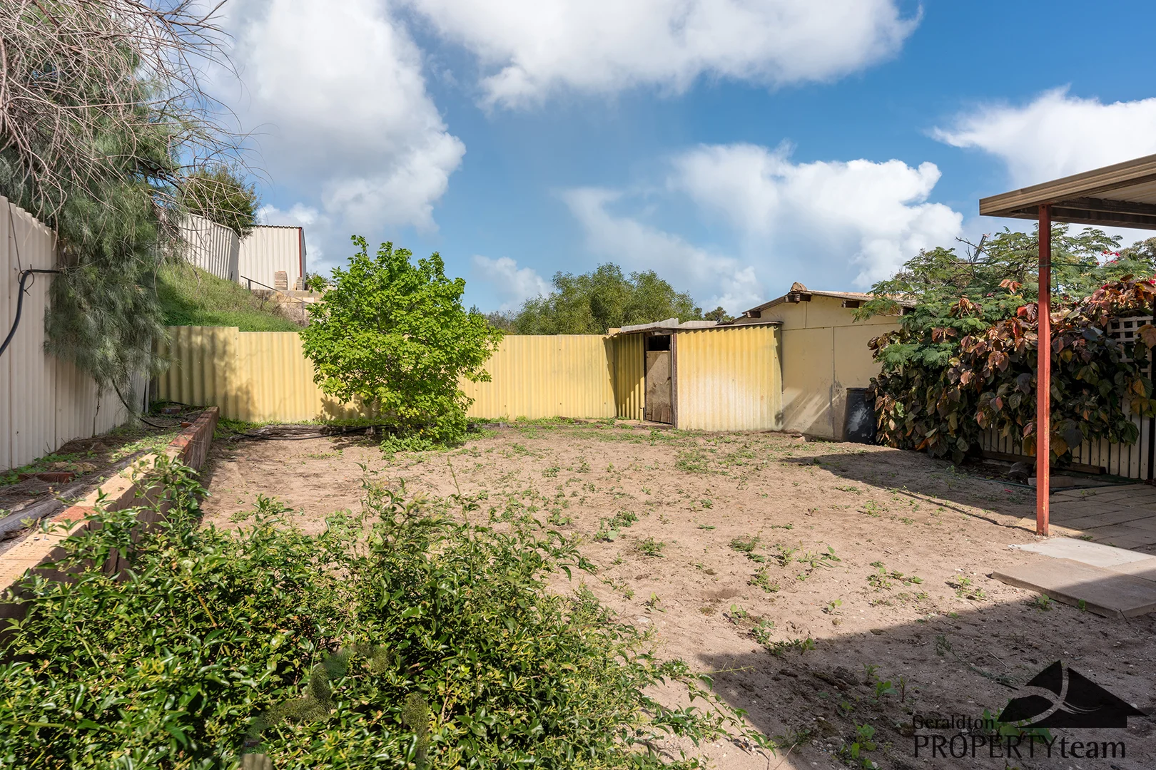 Image 15
