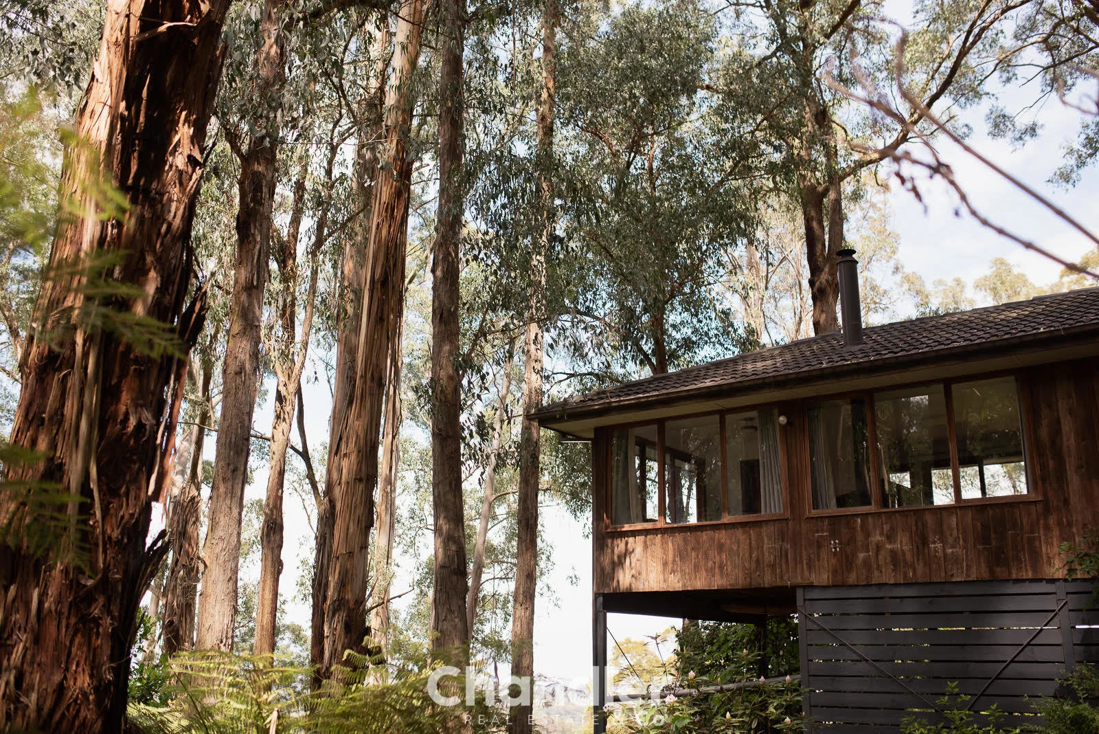 3 Toorourrong Road, Upwey VIC 3158