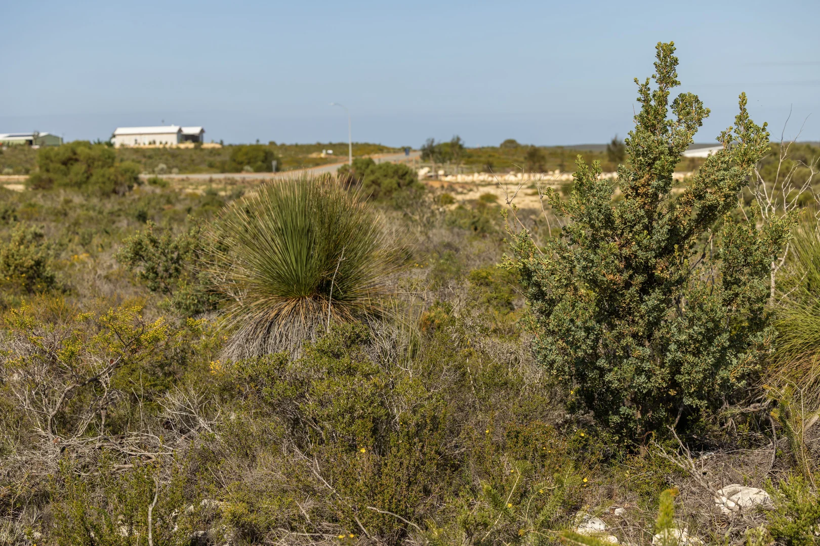 Image 6