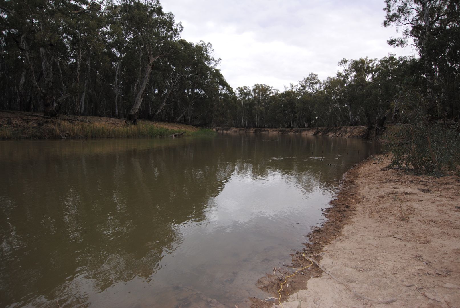 Part Riverdale Murrumbidgee River Road, Carrathool NSW 2711 House for
