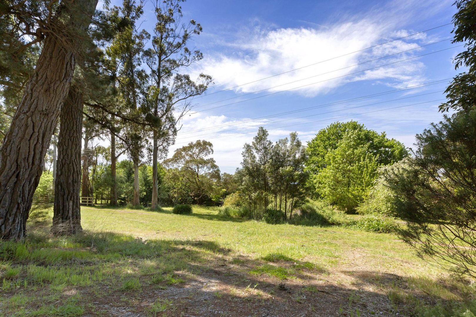 231 Red Hill Road, Red Hill VIC 3937, Image 1