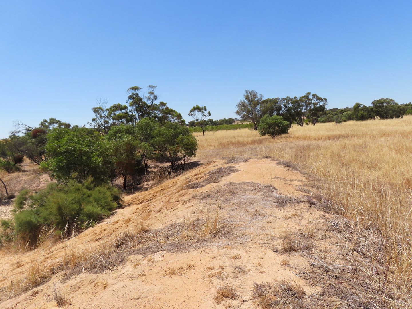 Lot 228 Quairading-York Road, Kauring WA 6302, Image 1