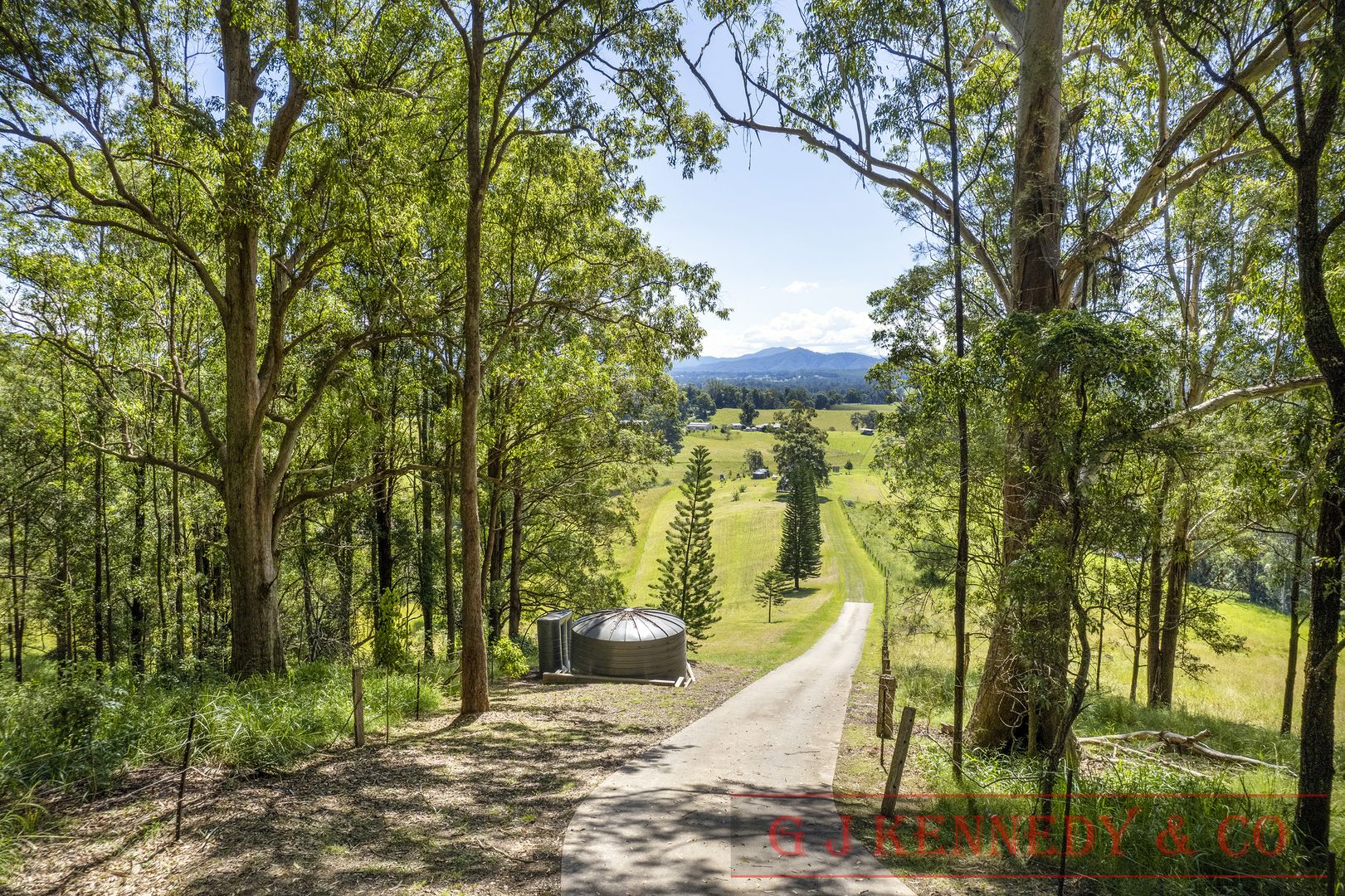 561 Rhones Creek Rd, Congarinni North NSW 2447, Image 2