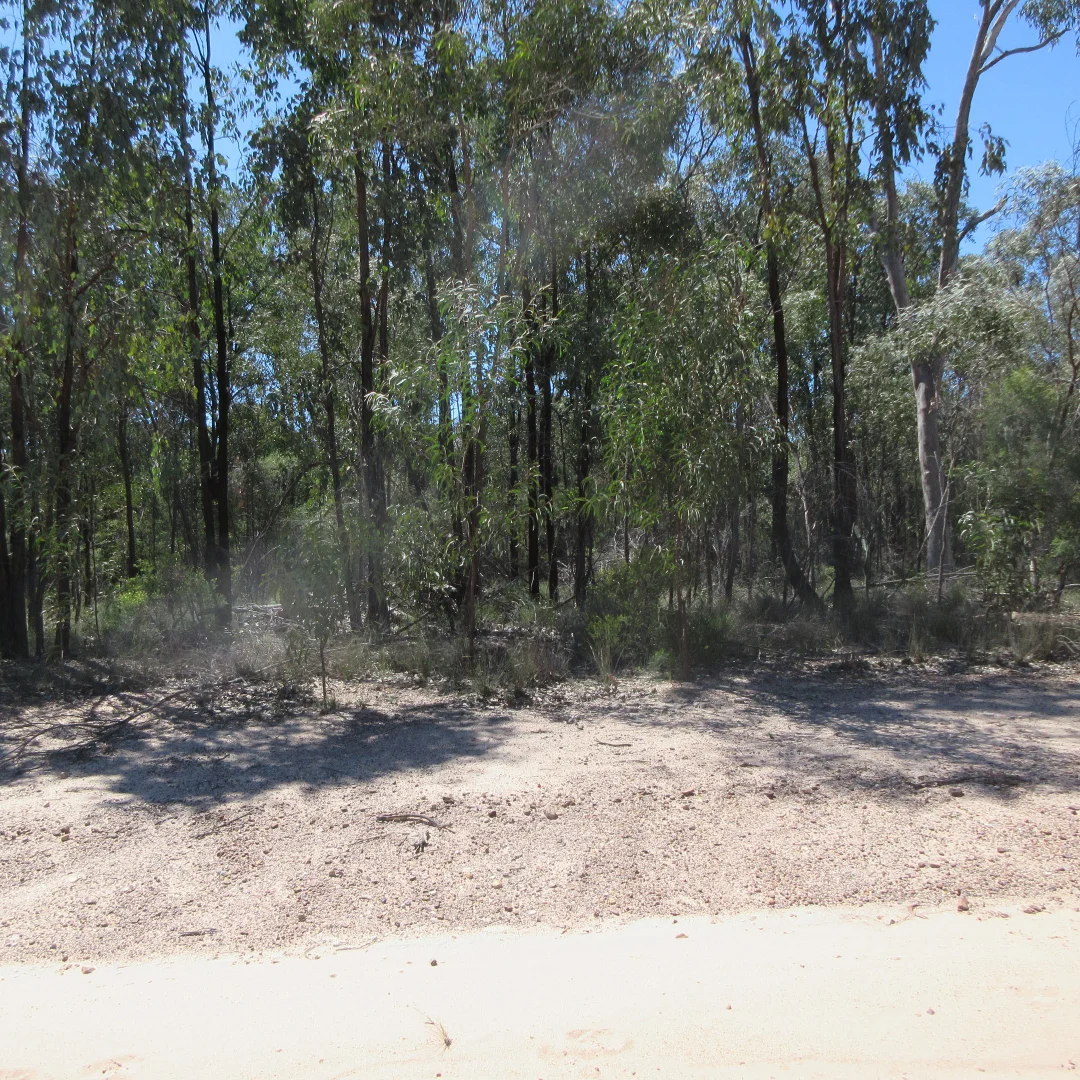 Additional image 2 of Lot 160 Lucky Road, Tara QLD 4421