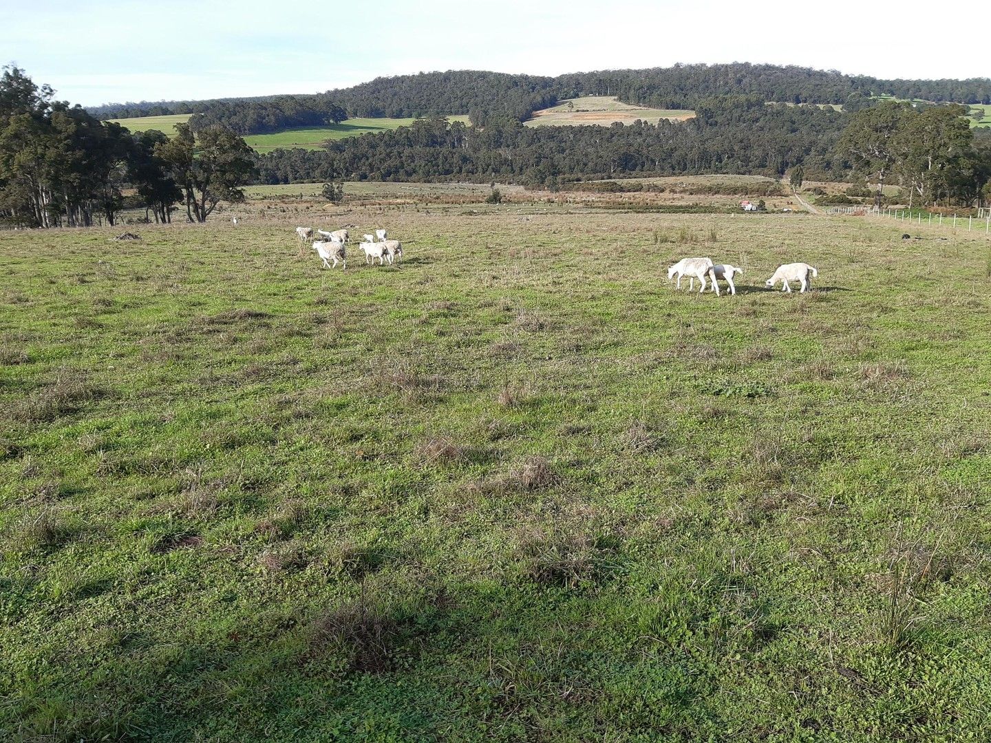 Lot 15 Gardiner Road, North Walpole WA 6398, Image 0