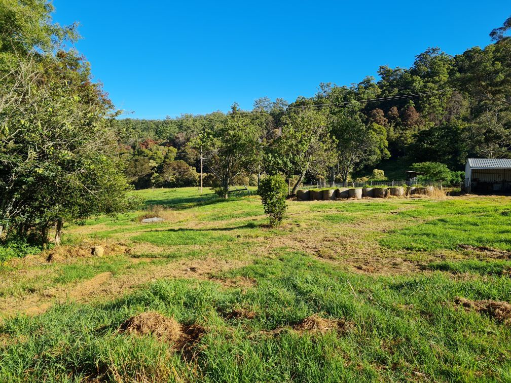 52 Schultz Road, Billys Creek NSW 2453, Image 0