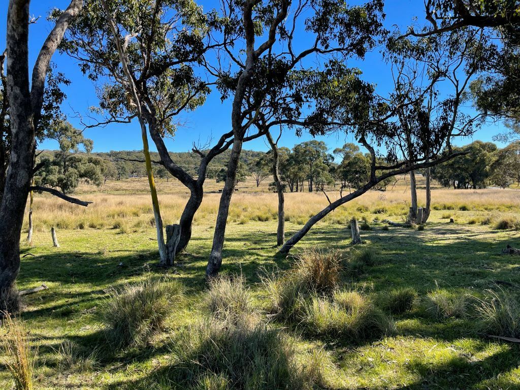 58 Eukey Road, Stanthorpe QLD 4380, Image 1