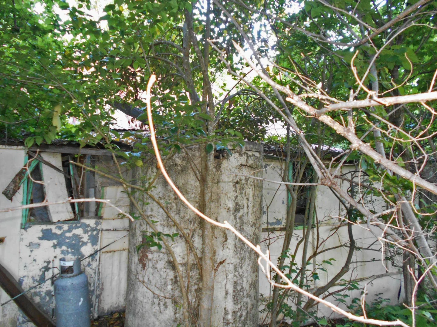 Image 11
