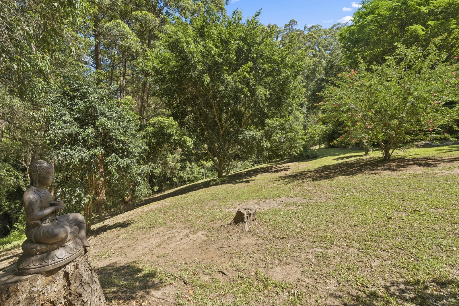 Image 25