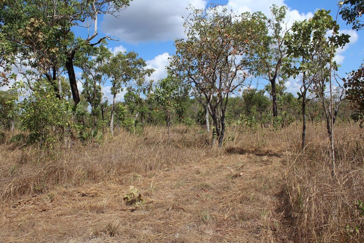 529 Owen Lagoon Road, Lake Bennett NT 0822, Image 2