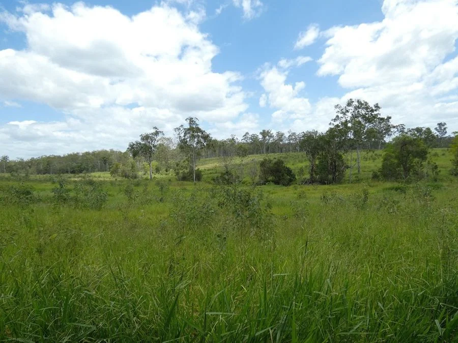 Image 29