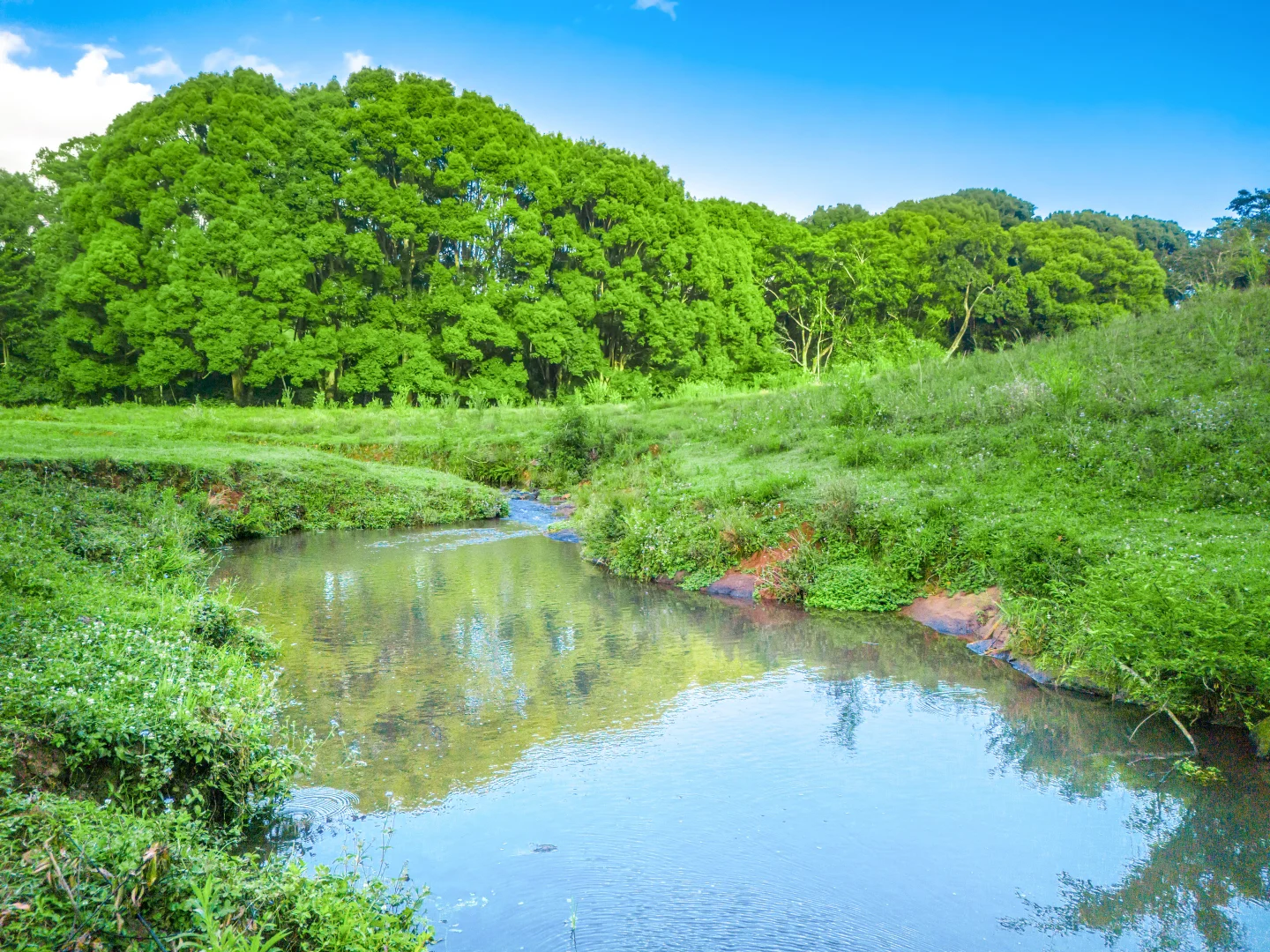 Additional image 14 of 362 Coorabell Road, Coorabell NSW 2479