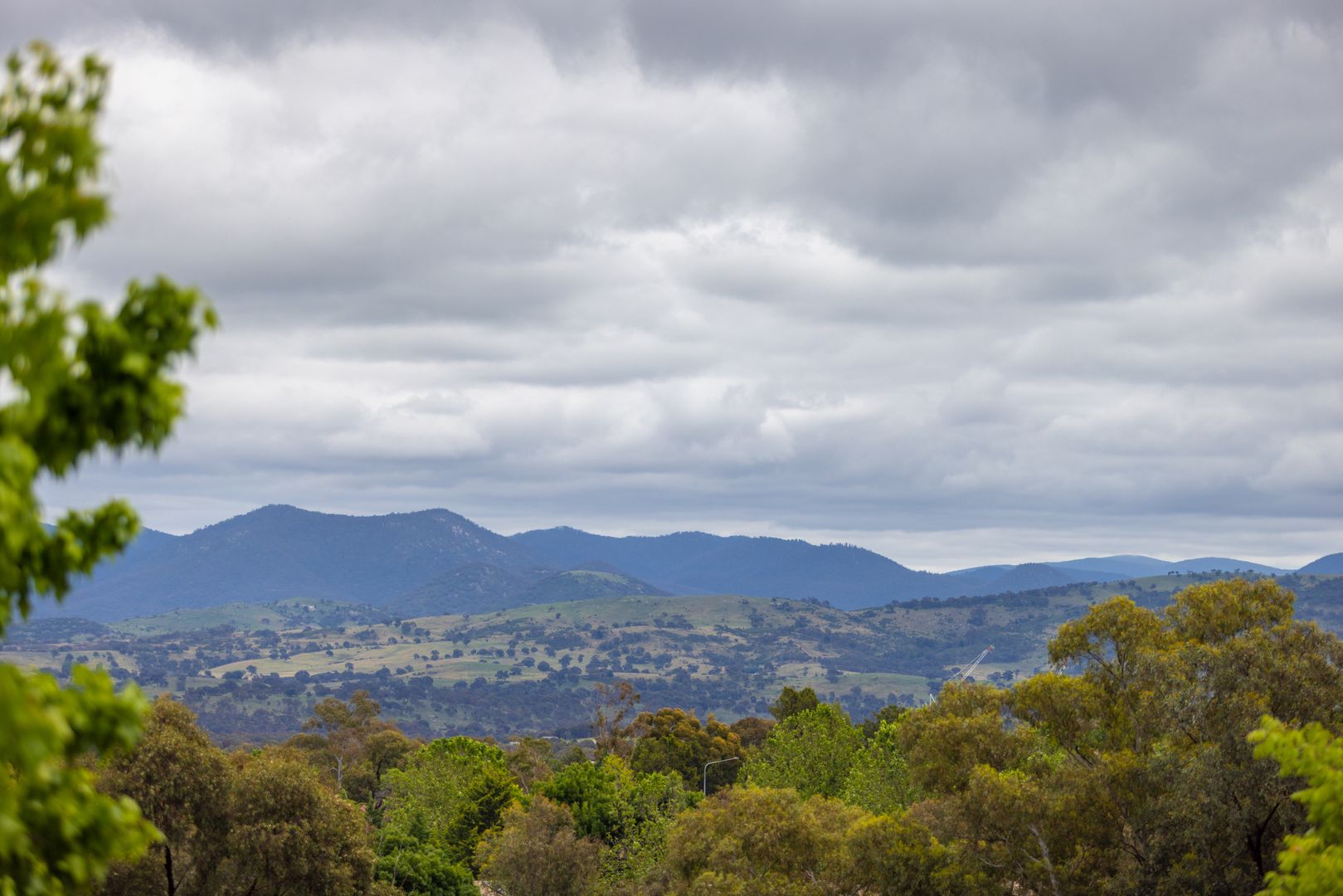 50 Coningham Street, Gowrie ACT 2904, Image 1