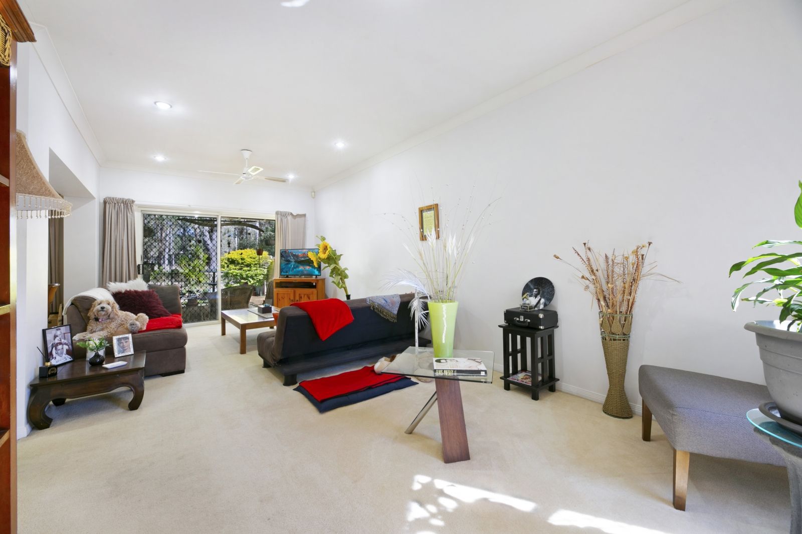 24 Dalloway Court, Arundel QLD 4214, Image 1