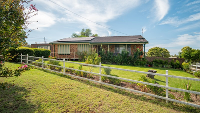 Picture of 24 Angela Street, EAST TAMWORTH NSW 2340