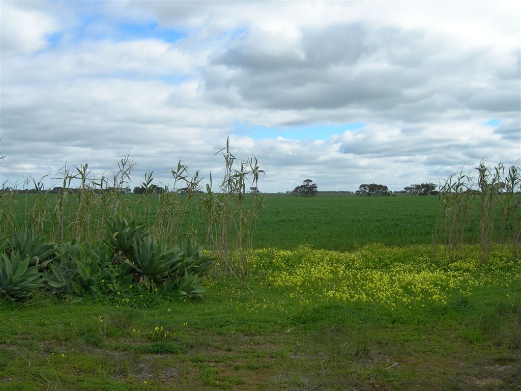 Lot 92 Day Road, Reeves Plains SA 5502, Image 0