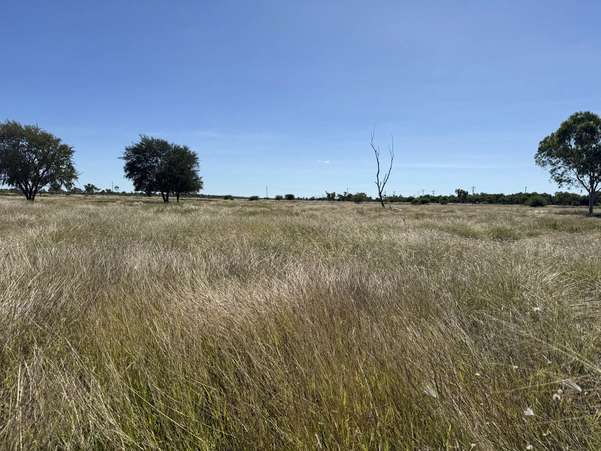 Image 30