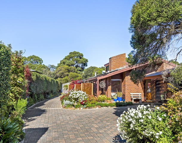 24 Mcmillan Street, Anglesea VIC 3230