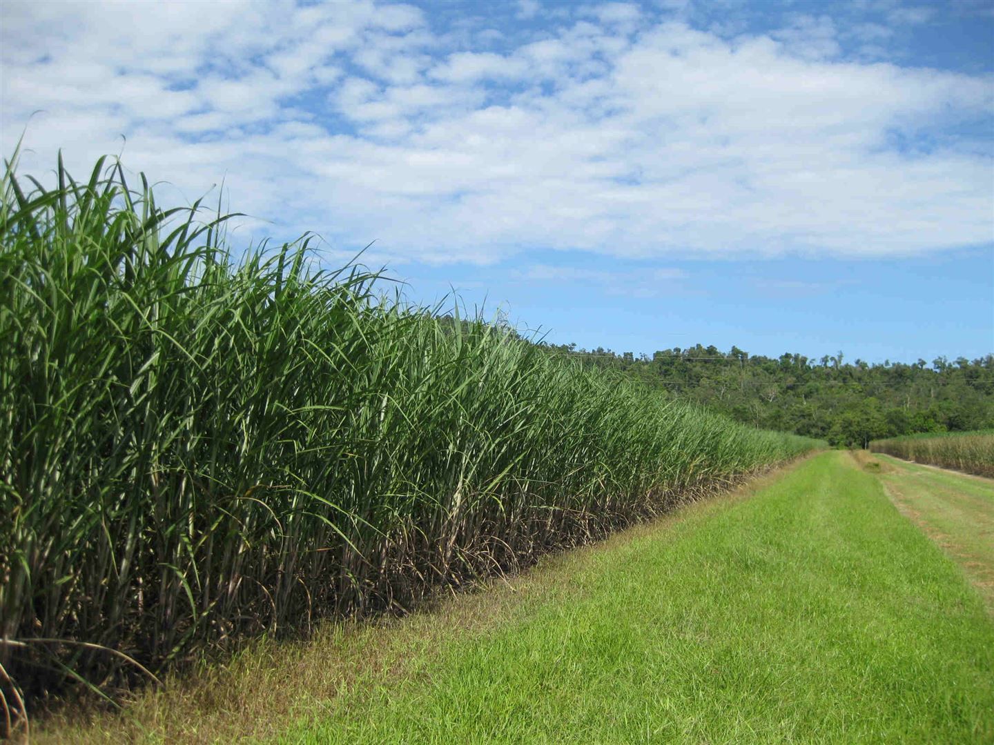 Granadilla QLD 4855, Image 0