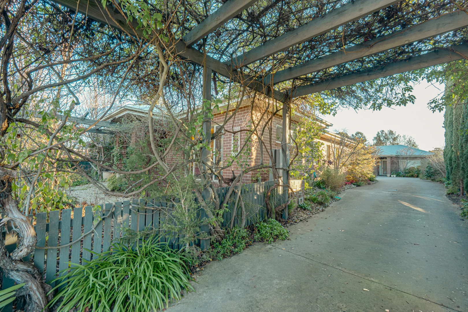 Image 17