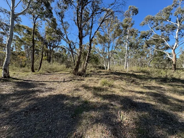 Image 10