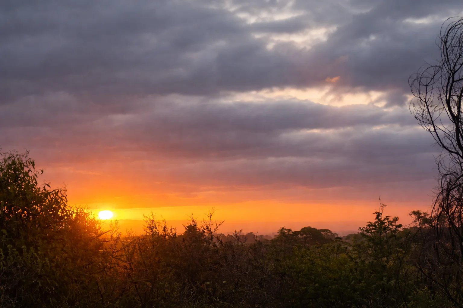 Additional image 57 of 42 Gardiners Creek Road, St Marys TAS 7215