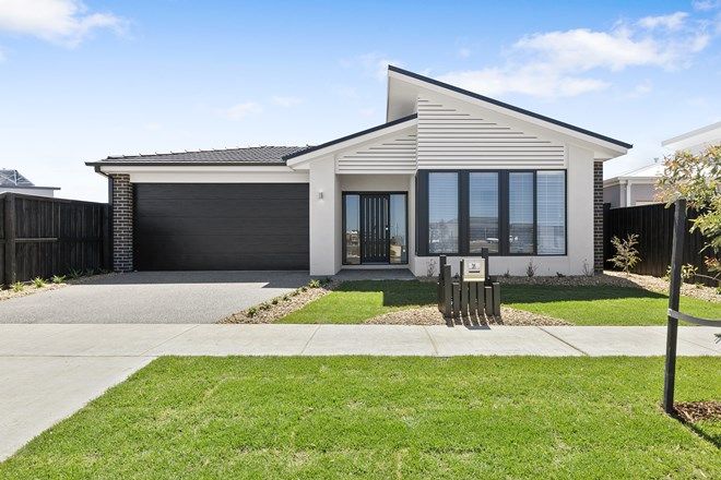 71 4 Bedroom Free Standing Houses For Sale In Torquay Vic 3228