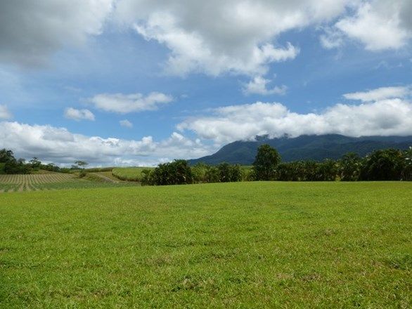 0 Boulders Road, Babinda QLD 4861, Image 2