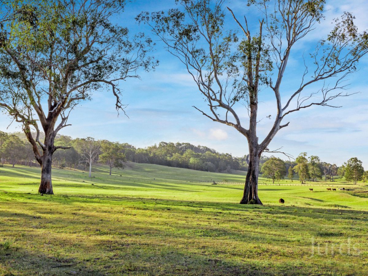 Hillsborough NSW 2320, Image 0