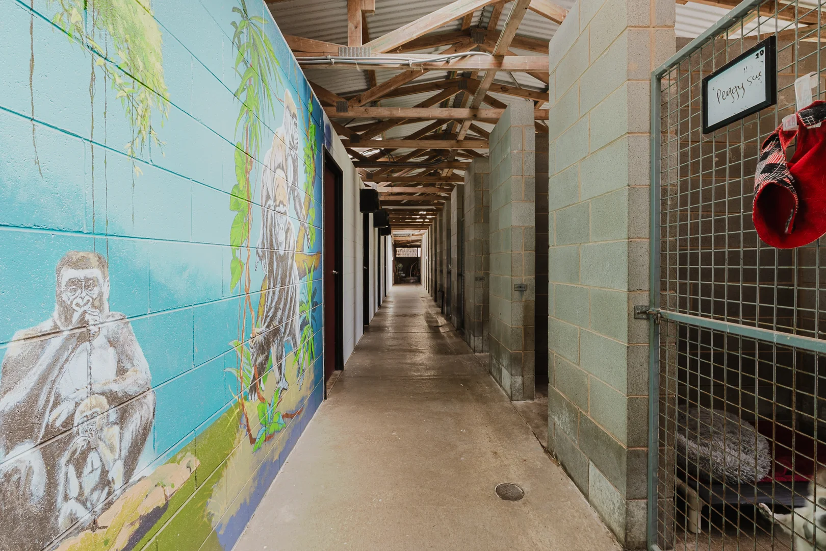 Additional image 28 of 222 Penshurst-Warrnambool Road, Koroit VIC 3282