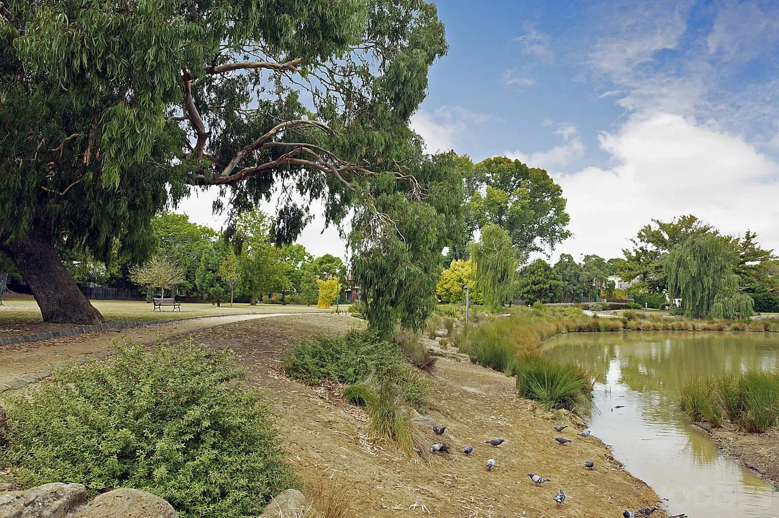 Additional image 11 of 1/9 Milroy Street, Brighton East VIC 3187