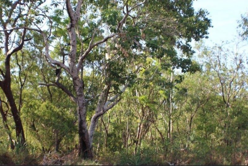 Blackmore NT 0822, Image 0