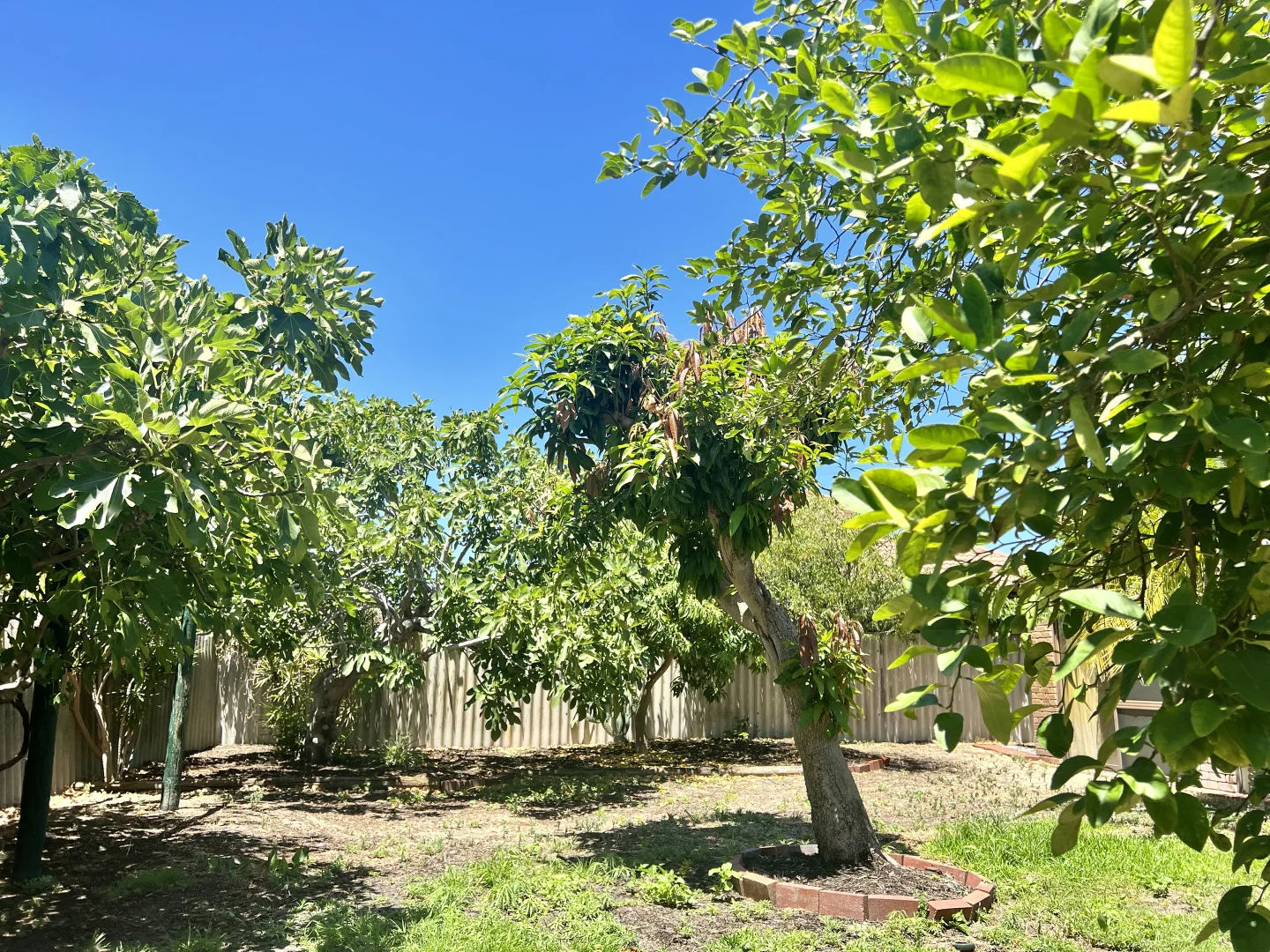 Additional image 20 of 5 Saleham Street, Lathlain WA 6100