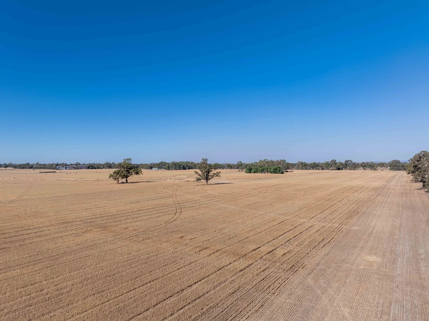 Additional image 7 of 96 Odwyer Road, Tabilk VIC 3607