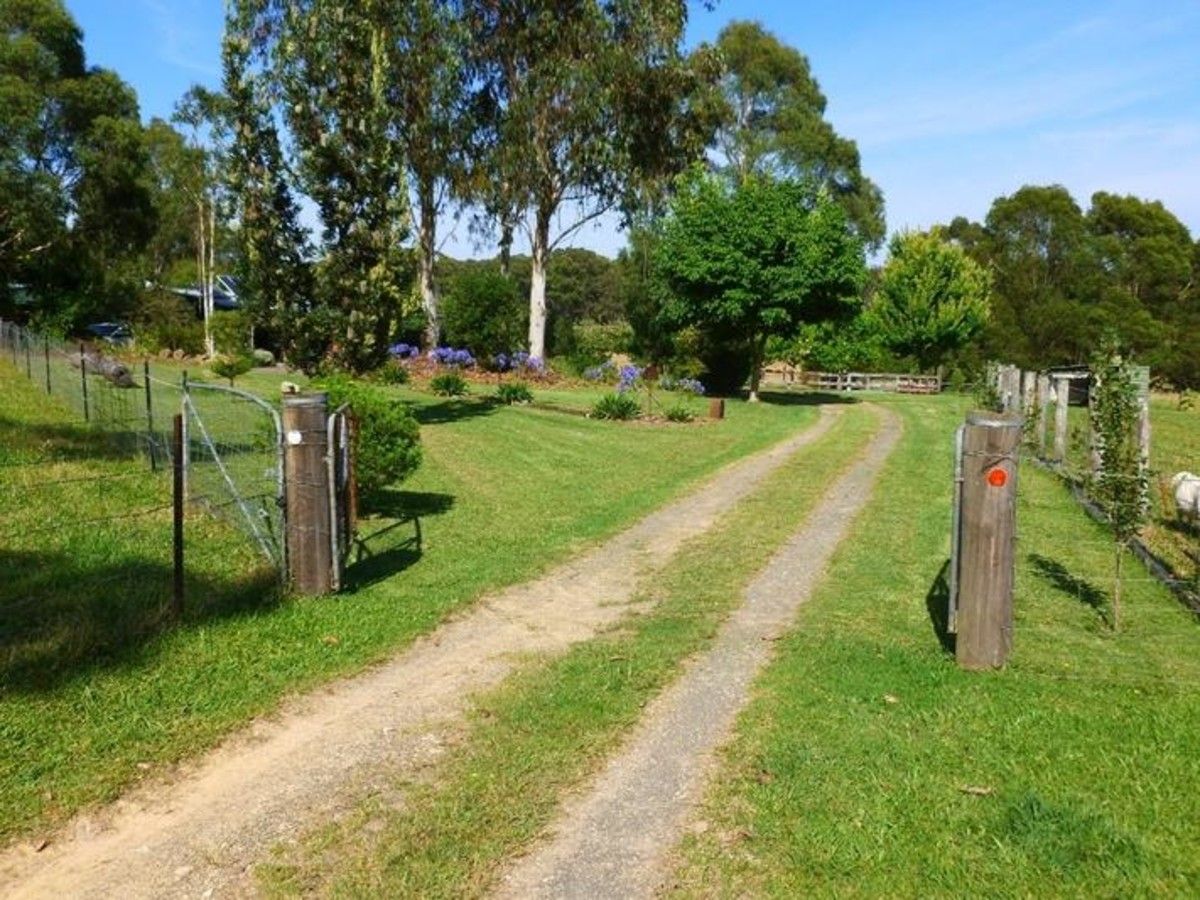 The Sheep Track, Brooman NSW 2538, Image 1