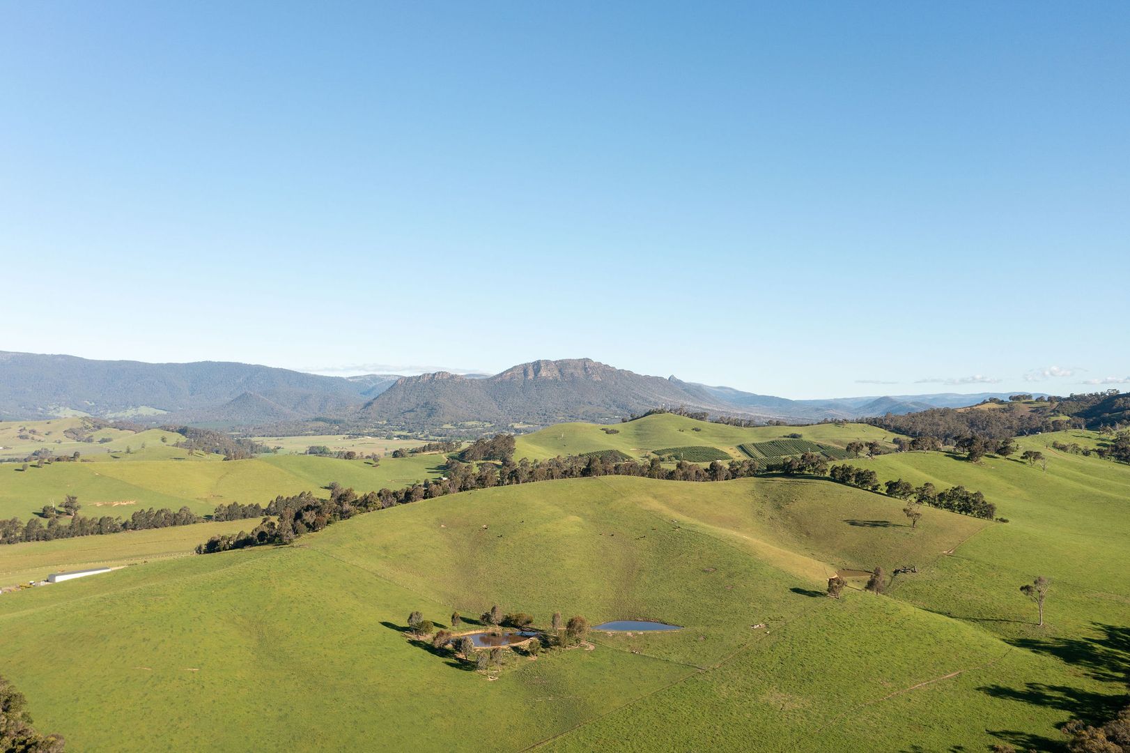 101 Yellow Creek Road, Taggerty VIC 3714, Image 1