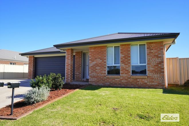 Picture of 113 Citrus Road, GRIFFITH NSW 2680