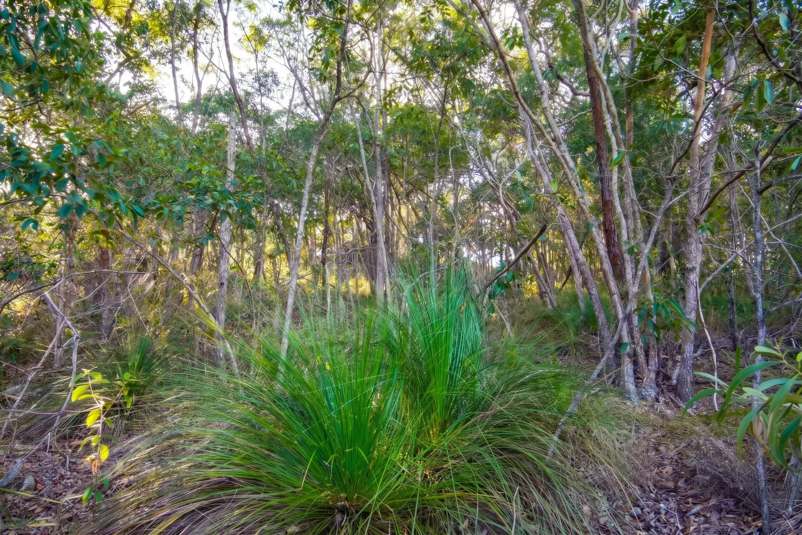 Image 3