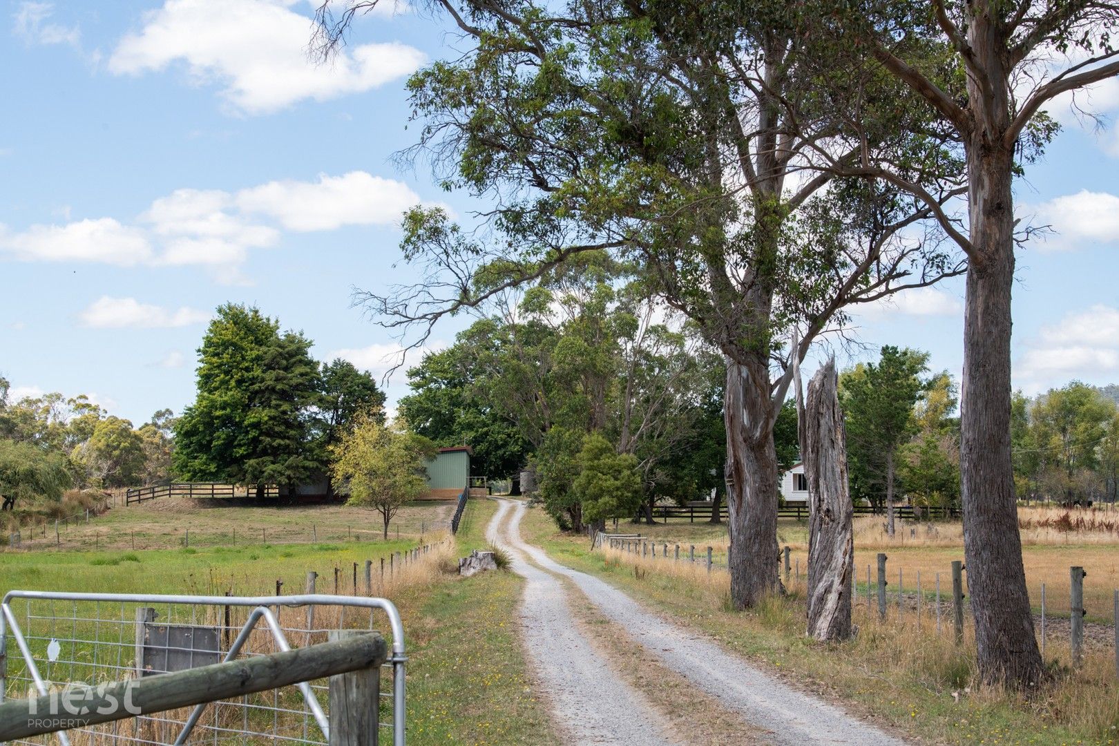 4 bedrooms House in 305 Frankford Road EXETER TAS, 7275