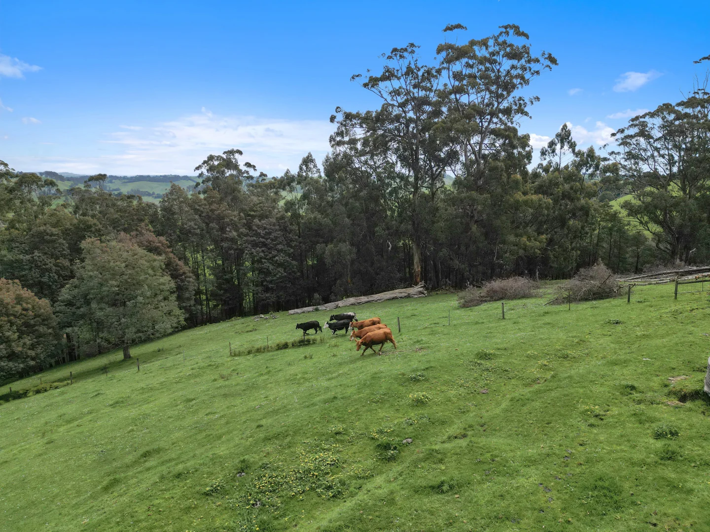 Additional image 26 of 236 Ferndale Road, Ferndale VIC 3821