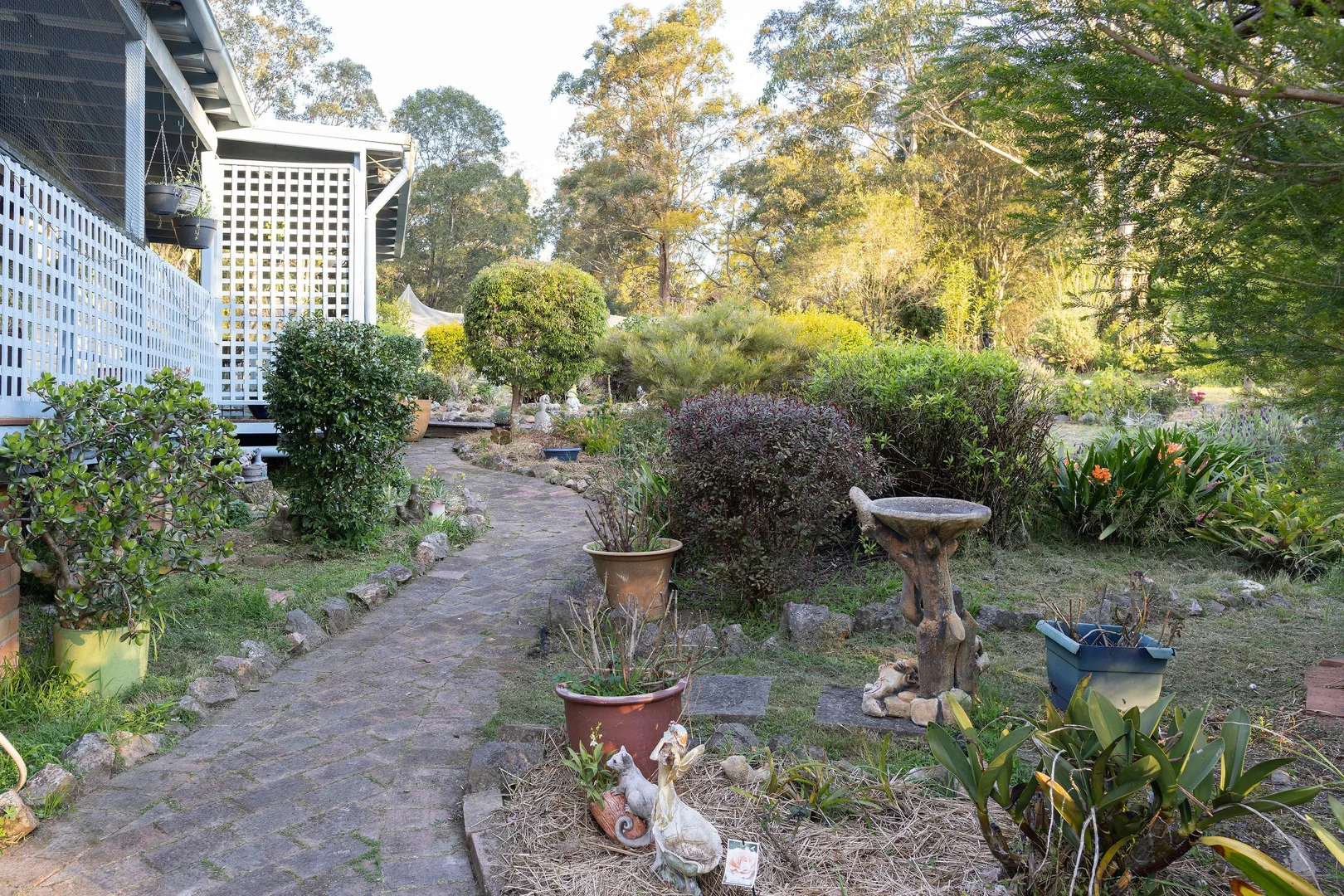 Image 34