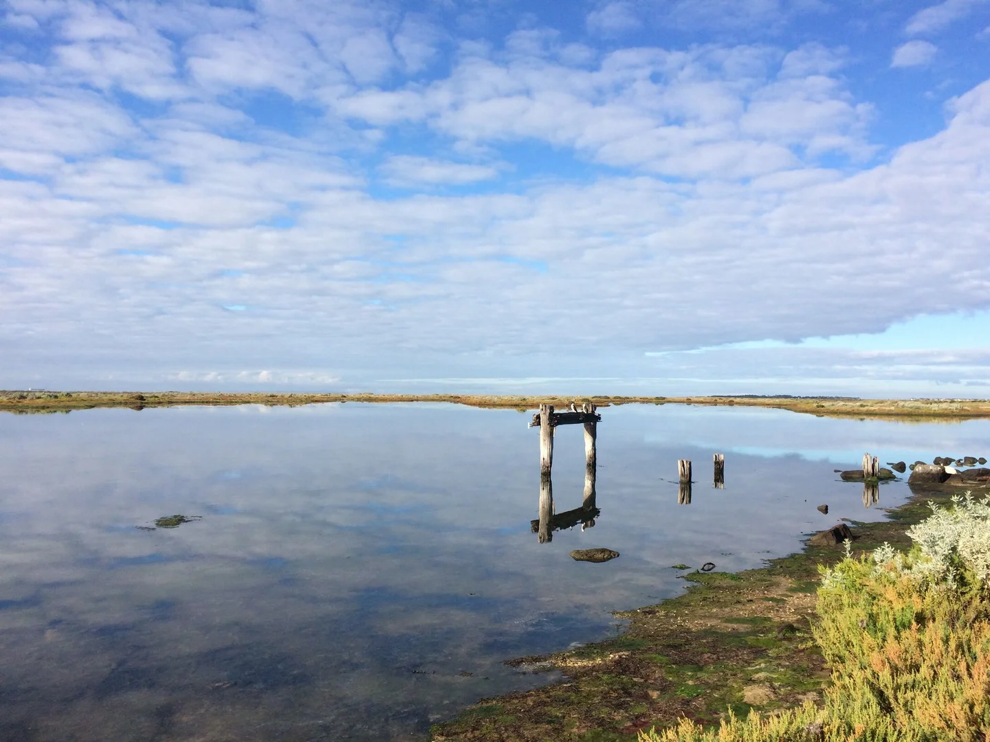 Additional image 14 of Altona VIC 3018