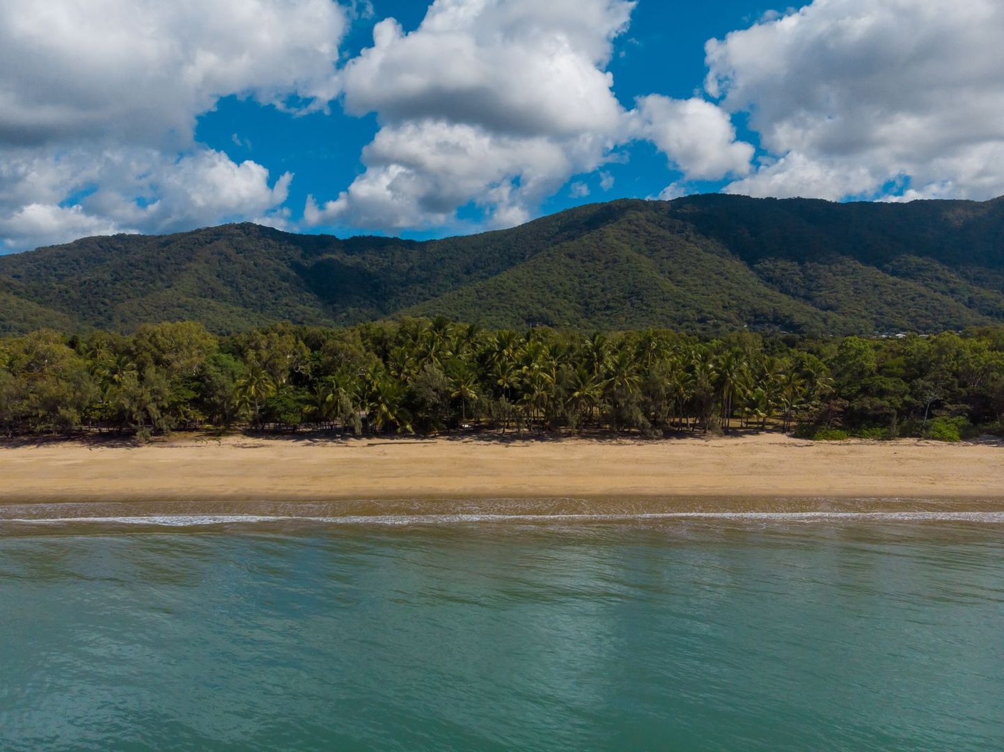 11/109 Upolu Esplanade, Palm Cove QLD 4879, Image 1